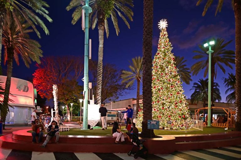 Miami at Christmas A Magical Wonderland Full of Christmas Activities!