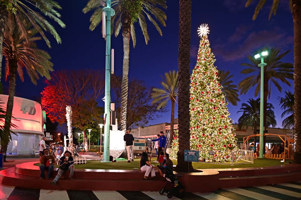Miami at Christmas - A Magical Wonderland Full of Christmas Activities!